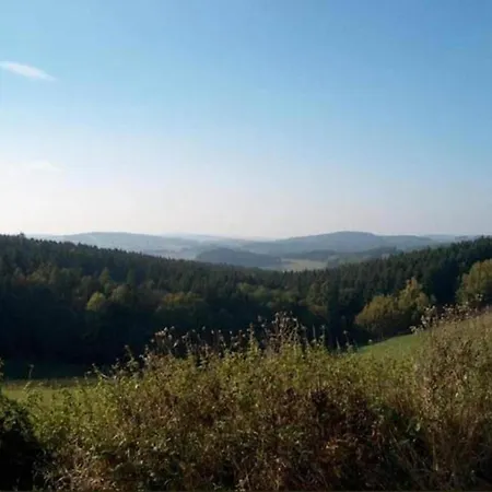 Near Bohemian Forest