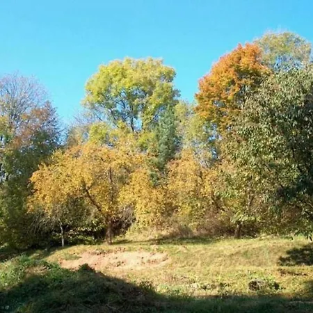 Near Bohemian Forest Σπίτι διακοπών Milire