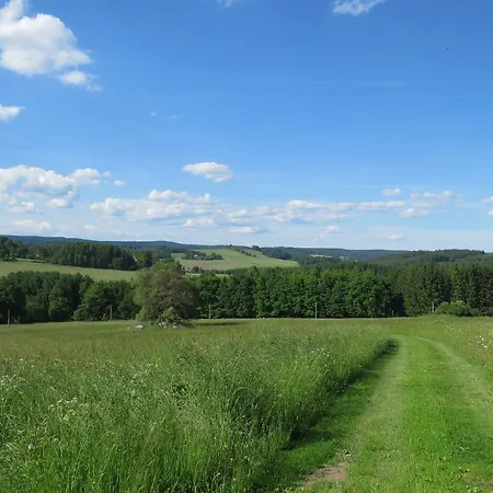 Near Bohemian Forest 펜션 *