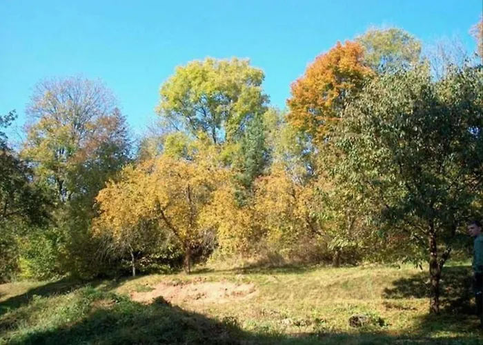 Near Bohemian Forest Σπίτι διακοπών Milire
